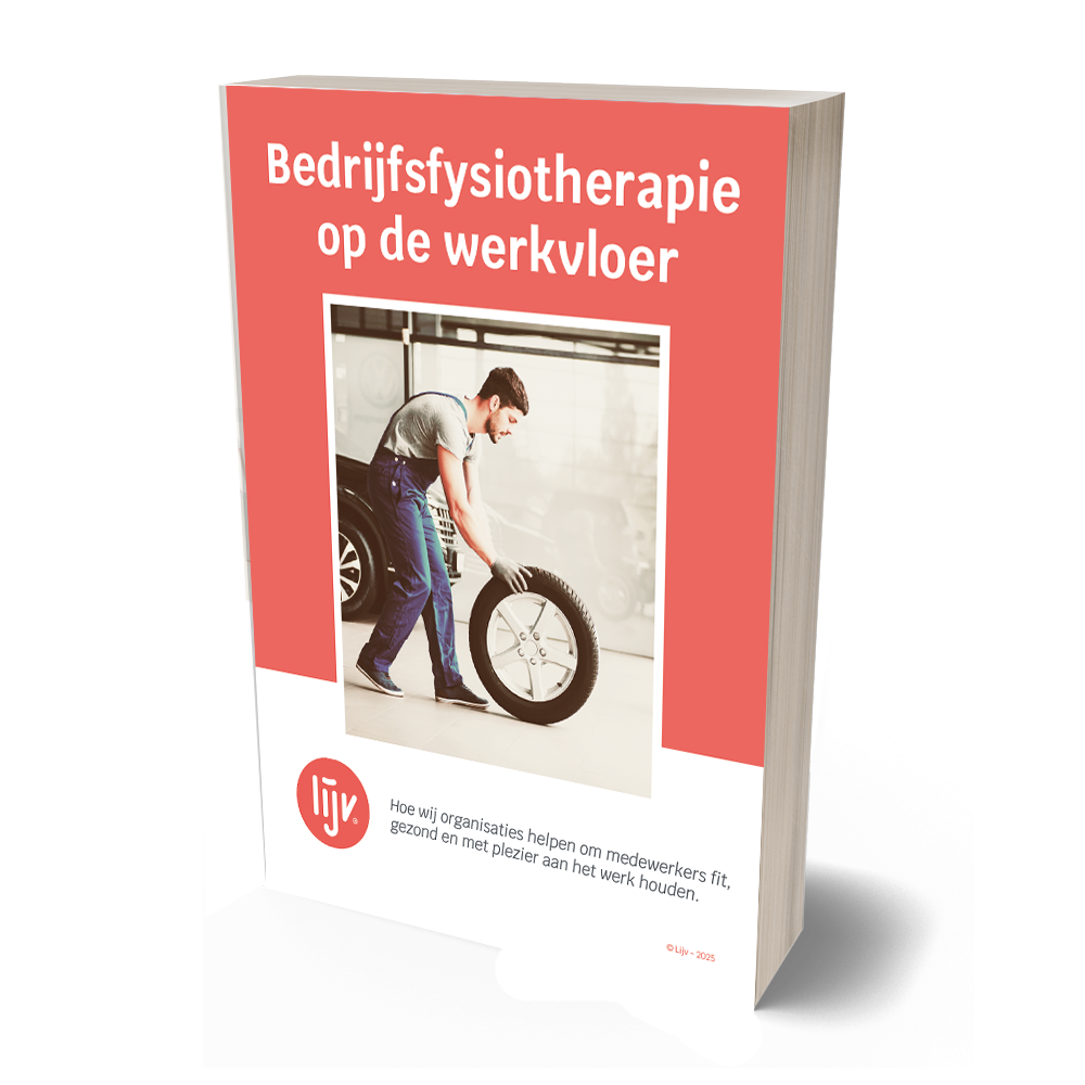 Beschermd: E-book Bedrijfsfysiotherapie incompany
