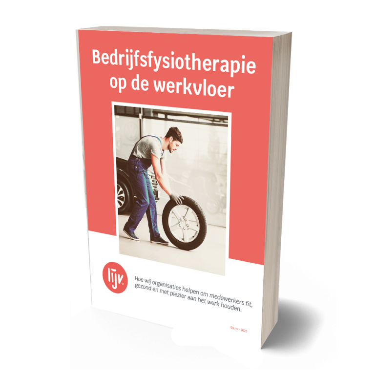 E-book Bedrijfsfysiotherapie incompany